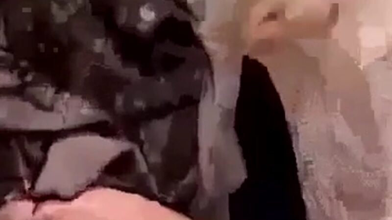 سكس مصري بواب ينيك بنت الجيران في المرحاض بقوة HD