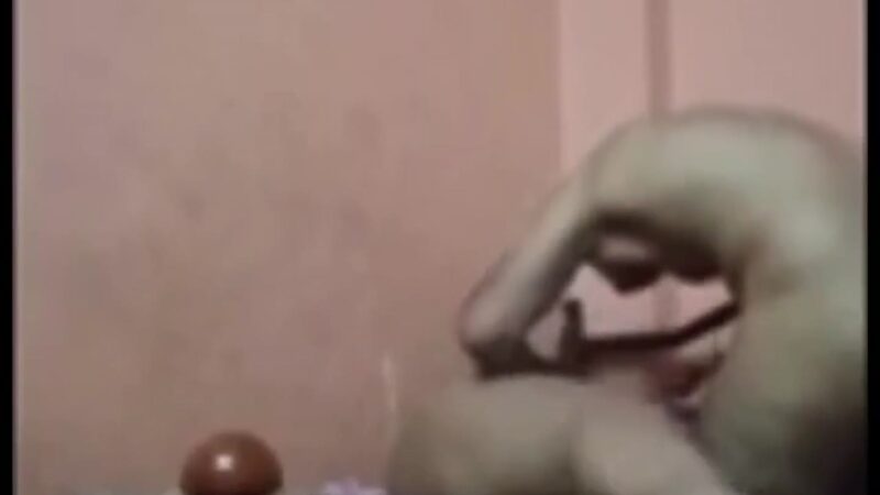 سكس بلدي جامد فلاحة تنط فوق الزب بقوة سكس مصري HD